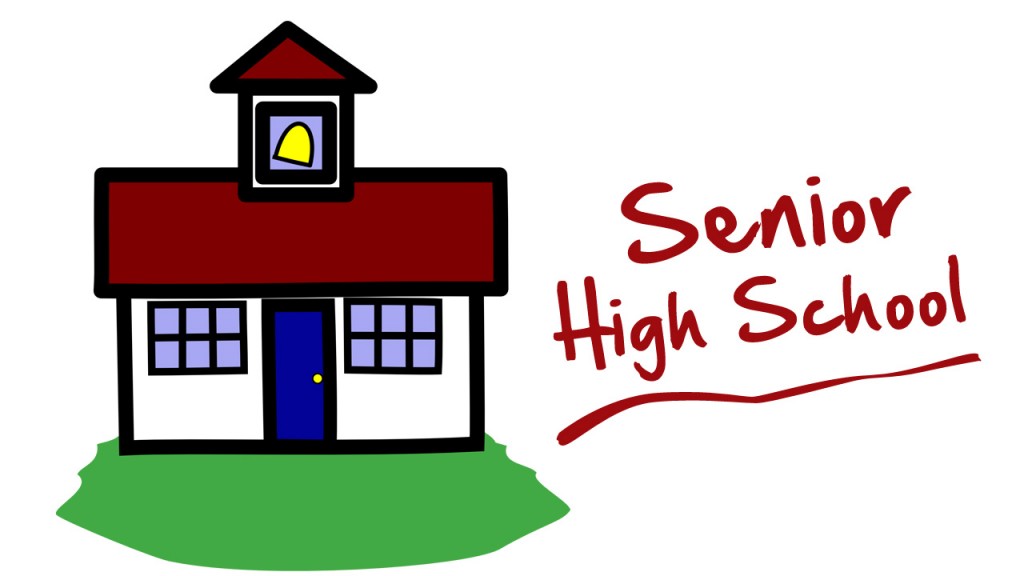 Partial List Of High Schools Offering Senior High School Released